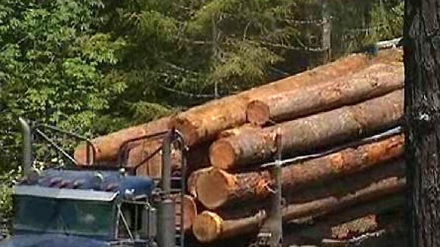 Debate Over 'Carbon Neutral' Status of Biomass Industry
