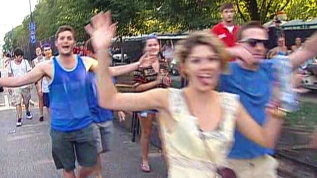 Mob of music lovers attempt to break into Lollapalooza