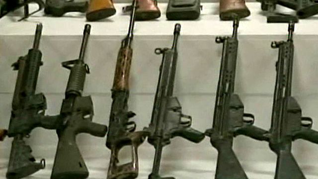 Border States Sue Over Gun Regulations