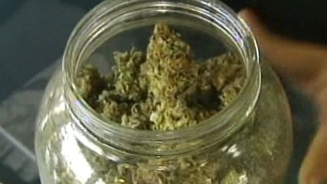 Medical Marijuana Patients Arrested in Arizona