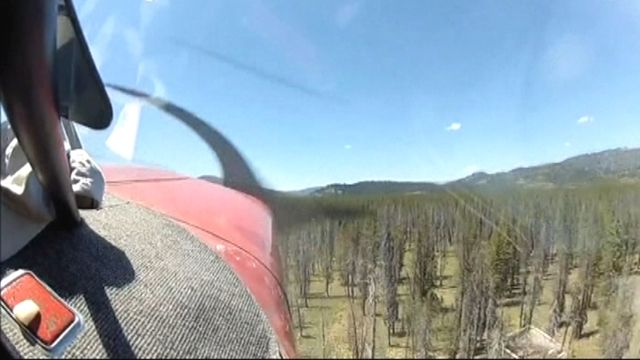 Survivor films plane crash from inside cockpit