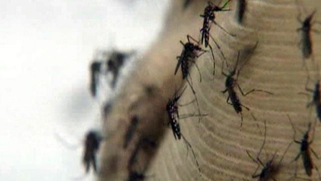 West Nile virus outbreak hits North Texas