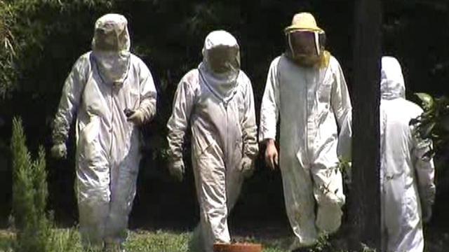 Elderly Man Stung By More Than 500 Bees