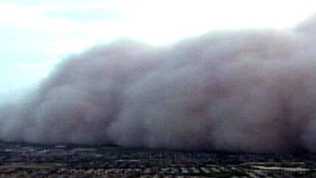 Dust Storms Affecting Pets in Arizona