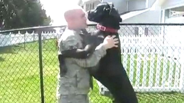 Welcome Bark! Dog Reunited With Soldier