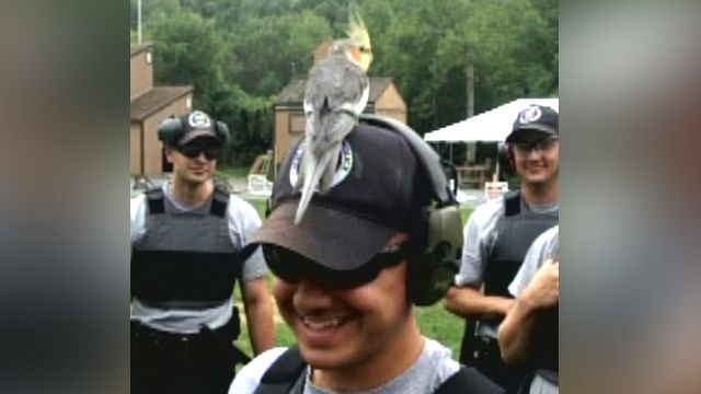 Plucky bird lands on cadet's head during firearm training