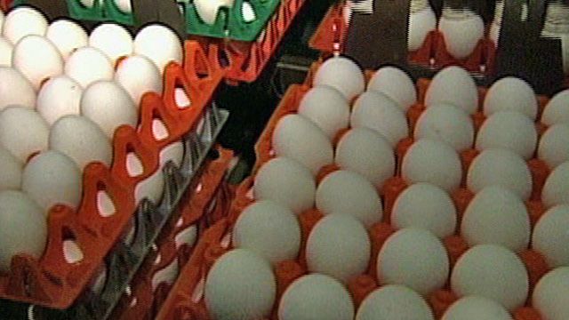 228 Million Eggs Recalled