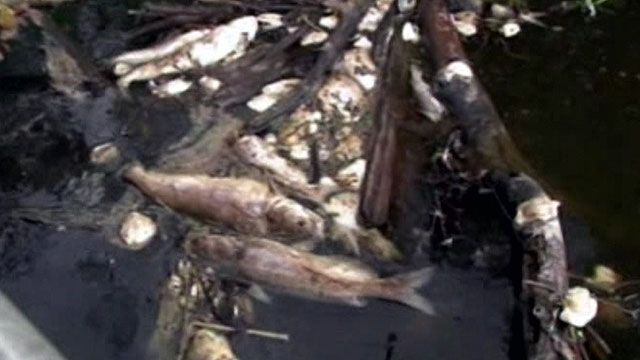 Chemical Spill Cleanup Underway in Louisiana's Pearl River
