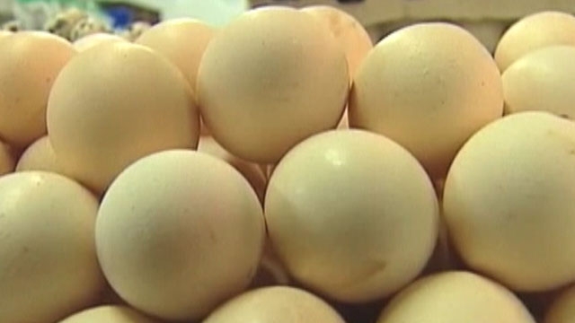 Egg Recall Post Salmonella Outbreak