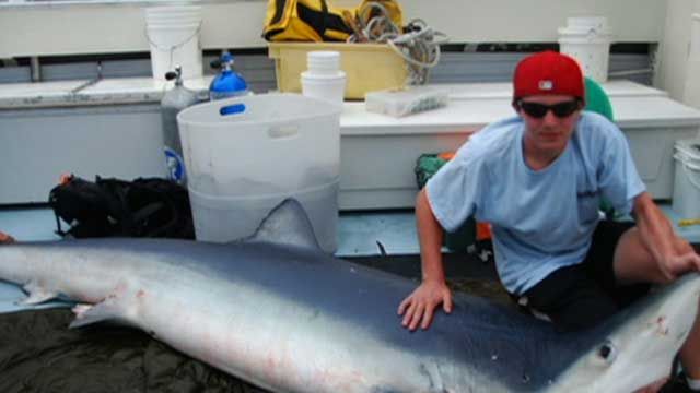15-Year-Old Reels in 12-Foot Shark