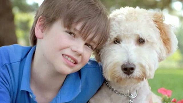 Boy writes book to help raise money to get service dog