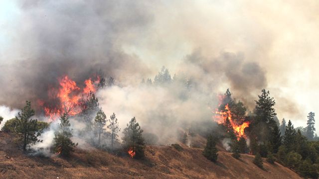 Raging wildfires threaten thousands of homes in California