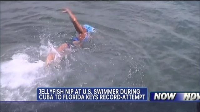 Nyad Attempts to Swim from Cuba to Florida