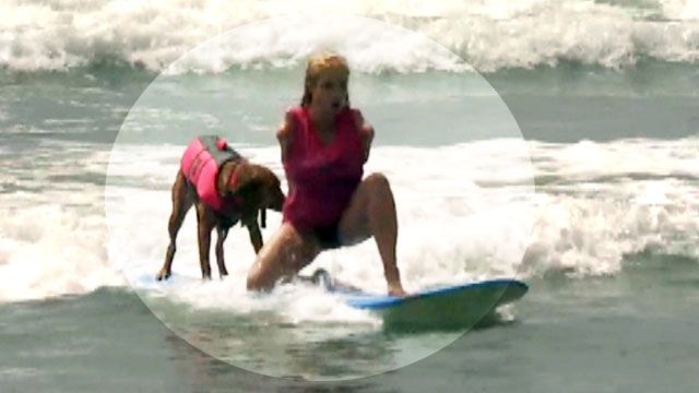 Dog Teaches Disabled People to Surf