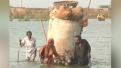 Desperate Need for Aid in Pakistan