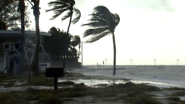 Hurricane warning issued for the Gulf Coast