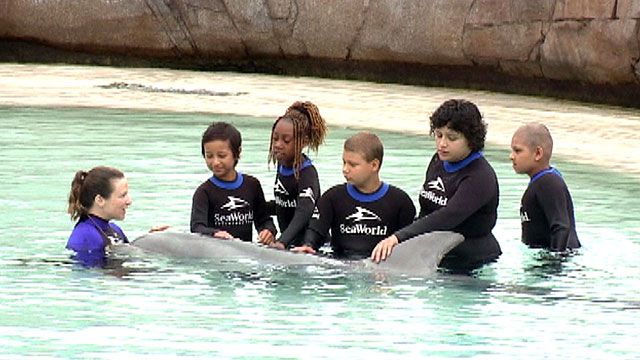 Cancer kids get to swim with dolphins