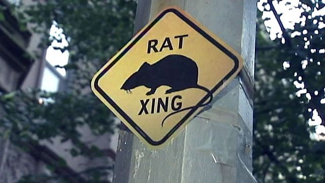 Rat crossing sign posted in high-priced NYC neighborhood