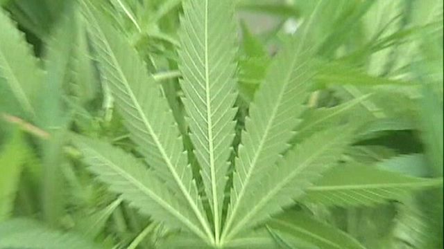 Garden State Chooses Marijuana Grow Site