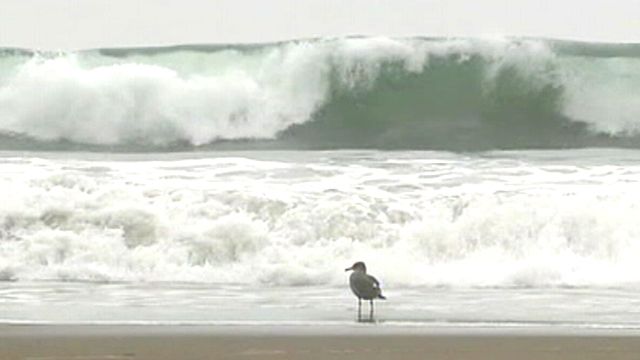 Unusually Large Waves Crashing in California