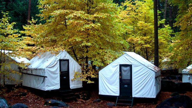 Thousand of campers exposed to deadly mouse-borne virus