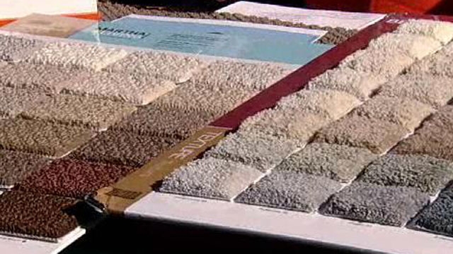 Home Depot's Carpet Collection