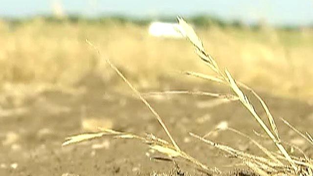 Weather Modification to Ease Texas Drought?