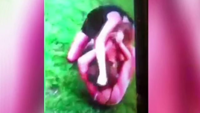 Mom Busted for Encouraging Girls' Brawl