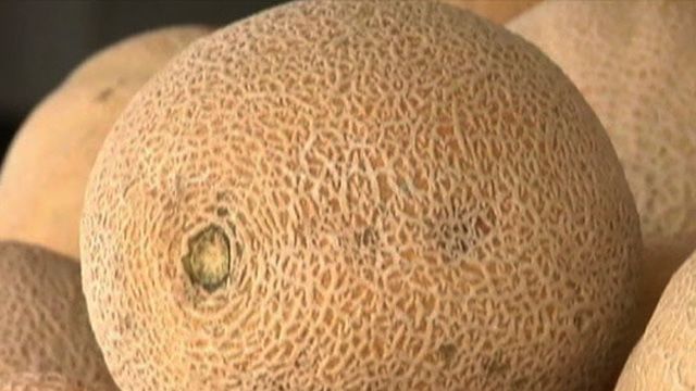 Cantaloupes Infected With Listeria