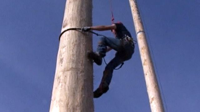 Pole climbers ascend to the top of their sport
