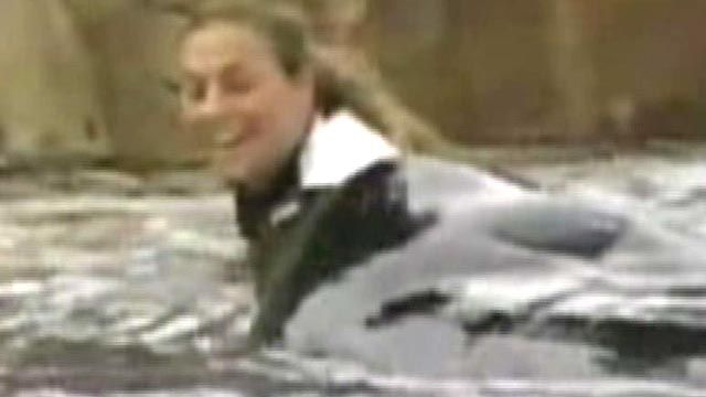 Could Trainer's Death Put SeaWorld Out of Business?