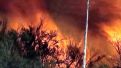 Wildfire destroys 4 homes, threatens 80 others
