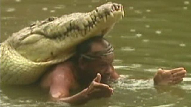 Fisherman Befriends Giant Crocodile