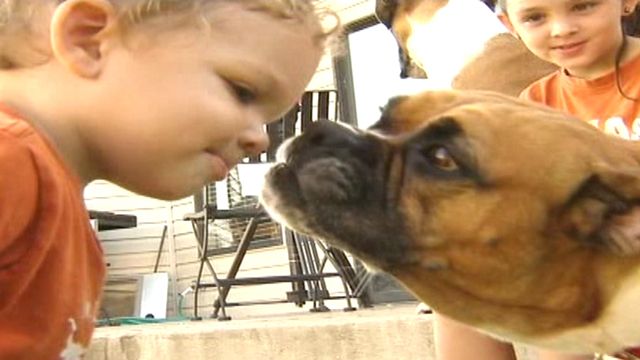 Dog Saves One-Year-Old From Rattlesnake
