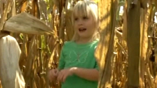 4-Year-Old Lost in 300-Acre Cornfield
