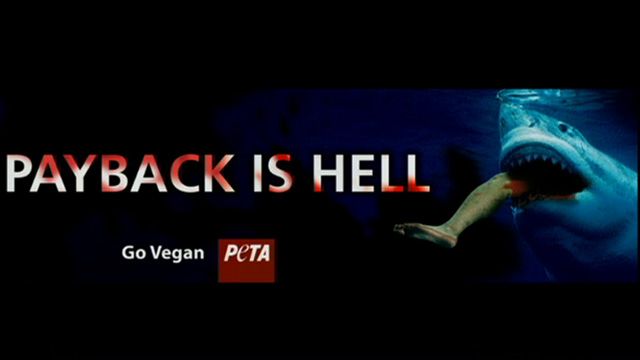 Shark Victim’s Family Offended by PETA Ad