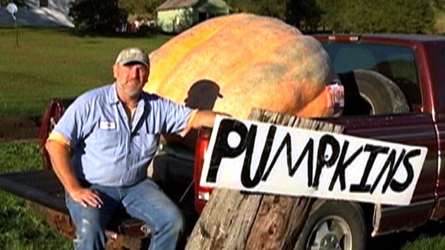 Massive Pumpkin