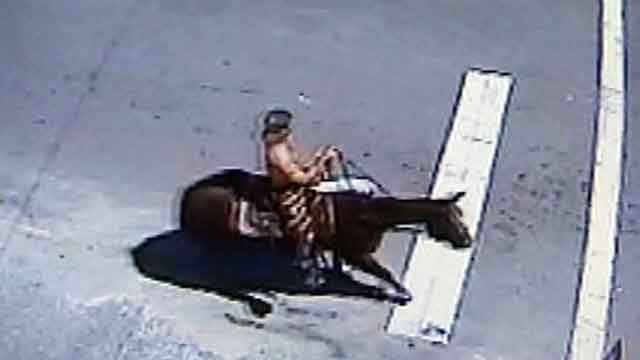 Drunken man on horseback attempts to elude police