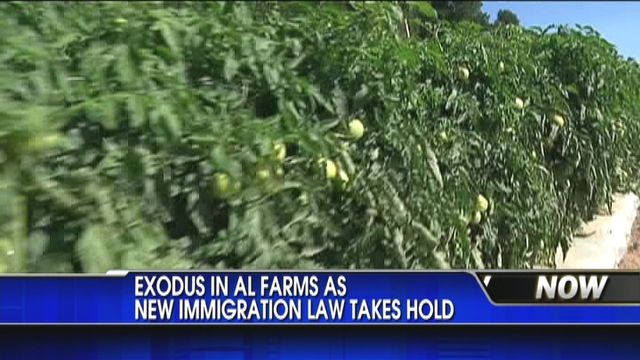 Exodus in AL Farms as New Law Takes Hold