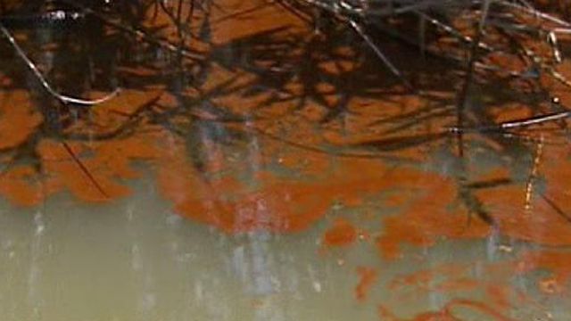 Did White House Withhold Oil Spill Info?
