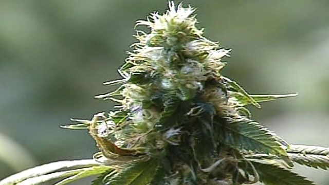 Crackdown on Medical Marijuana Stores in California