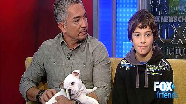 After Show Show: 'The Dog Whisper'