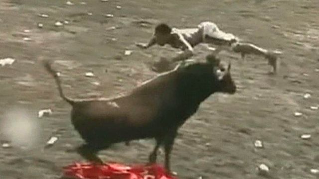 Bull flight: Man attempts daring leap over angry animal