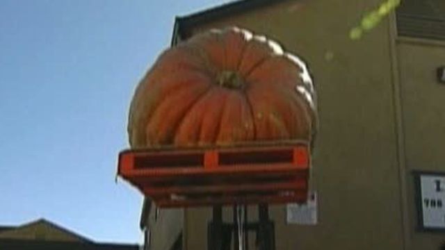 Across America: Gigantic Gourd