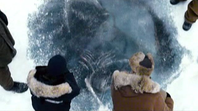 Film File:  'The Thing'