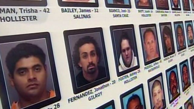 Major Gang Bust in California