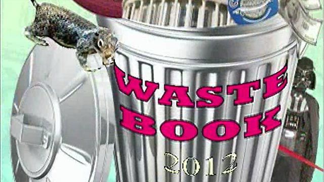 Lawmaker's 'waste book' show shocking government expenses