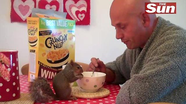 Rescued Squirrel Is Nuts About Cereal