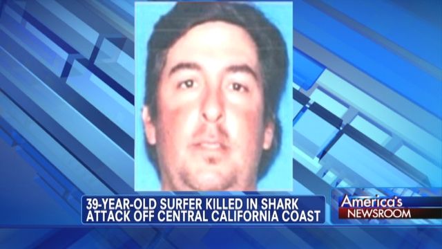 California Surfer Killed in Shark Attack 