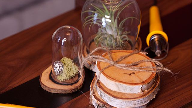 DIY Project: Log Dome Display Jars